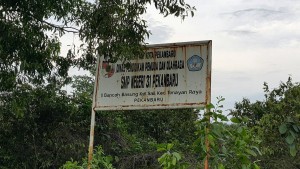 Tenayan Raya - Sail - SMPN 31 - 02 Namasek