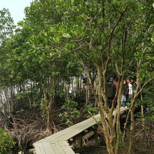 Sekolah Alam Bandar Bakau Sungai Dumai
